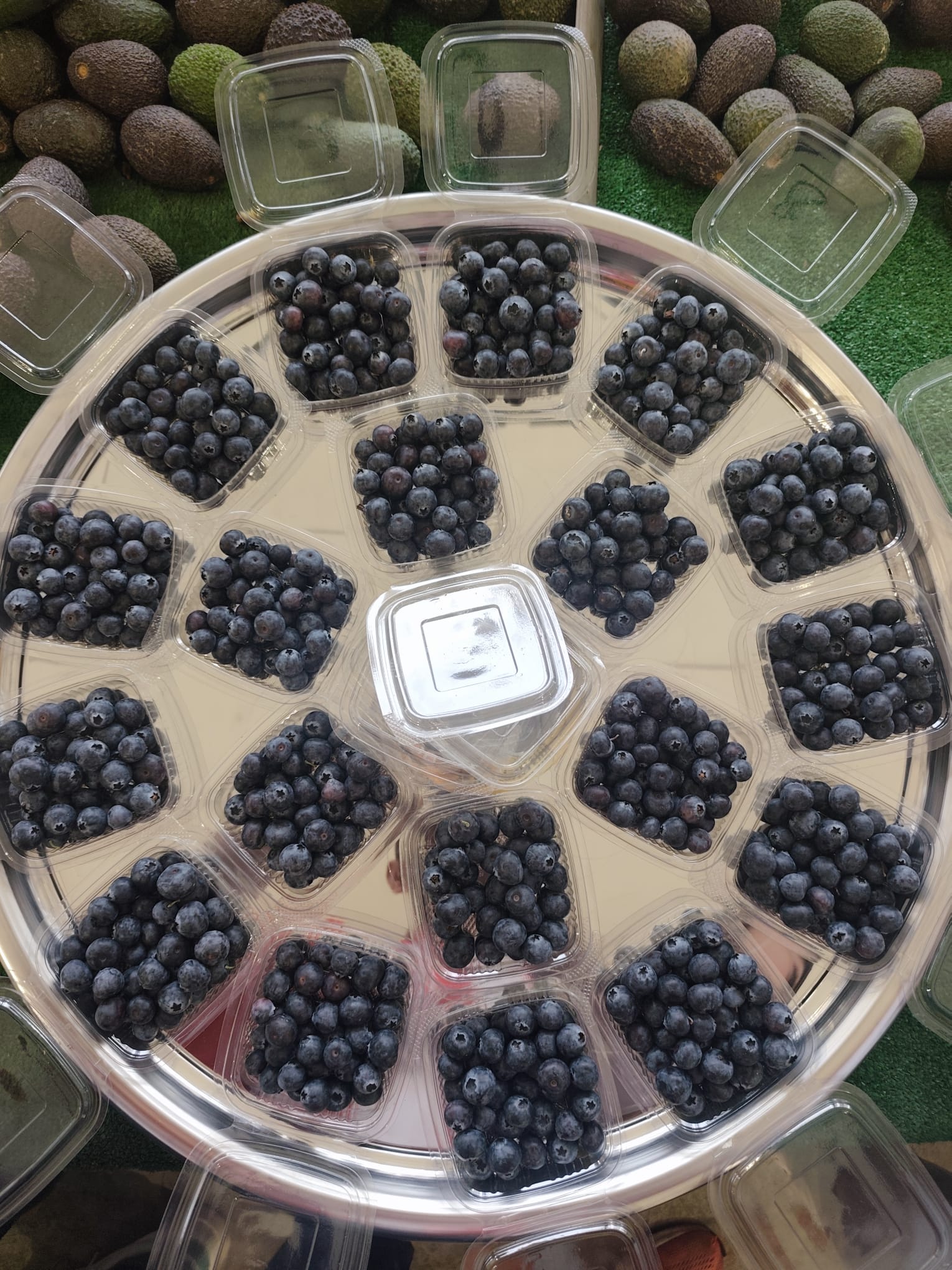 Taze Yaban Mersini (Blueberry)