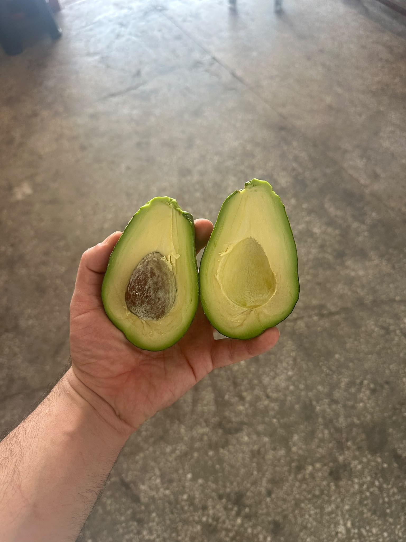 Hass Cins Avokado
