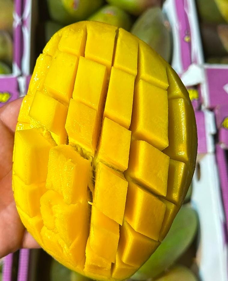 Mısır Mangosu
